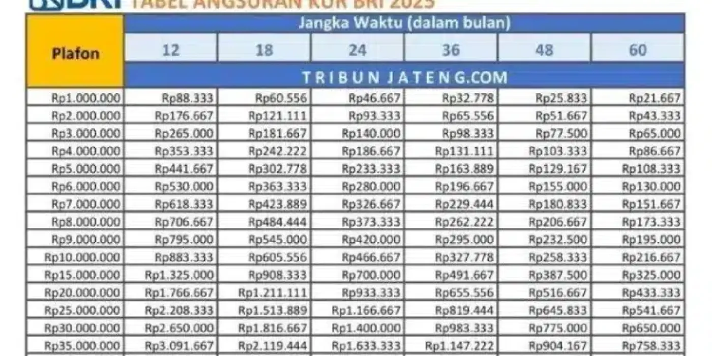Bunga KUR BRI 2025: Berapa Persen? Penjelasan Resmi Terbaru dan Update Syaratnya