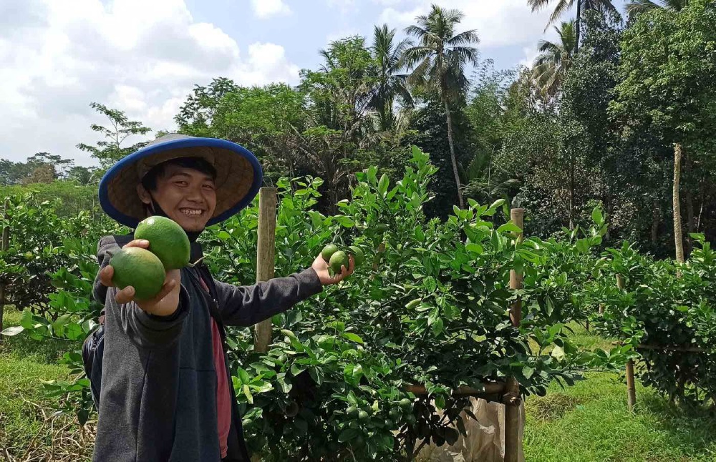 Gerakkan Ekonomi dari Desa: Strategi Membuka Peluang Kerja Baru