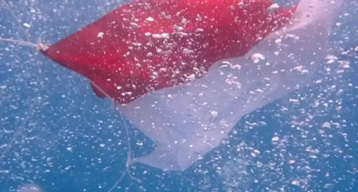 Mahasiswa di Bangka Kibarkan Bendera Merah Putih Bawah Laut, Tunjukkan Semangat Nasionalisme