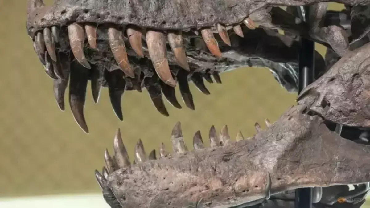 Data Terbaru Ungkap T-Rex Miliki Kekuatan Gigitan Tertinggi Dunia