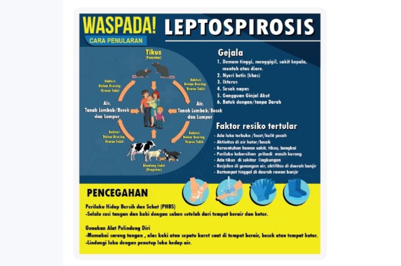 Kasus Leptospirosis Meningkat Pesat di Klaten pada Tahun 2025
