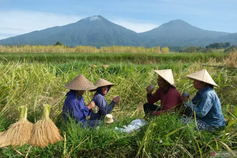 AI Pemetaan Tanah Disebut Bisa Ubah Nasib Petani Jadi Jutawan Segera