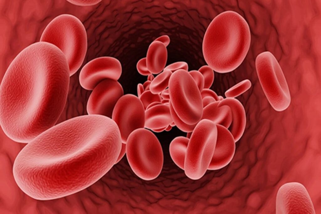 Bulan Kesadaran Kanker Darah 2025: Kenali Gejala Multiple Myeloma Sekarang