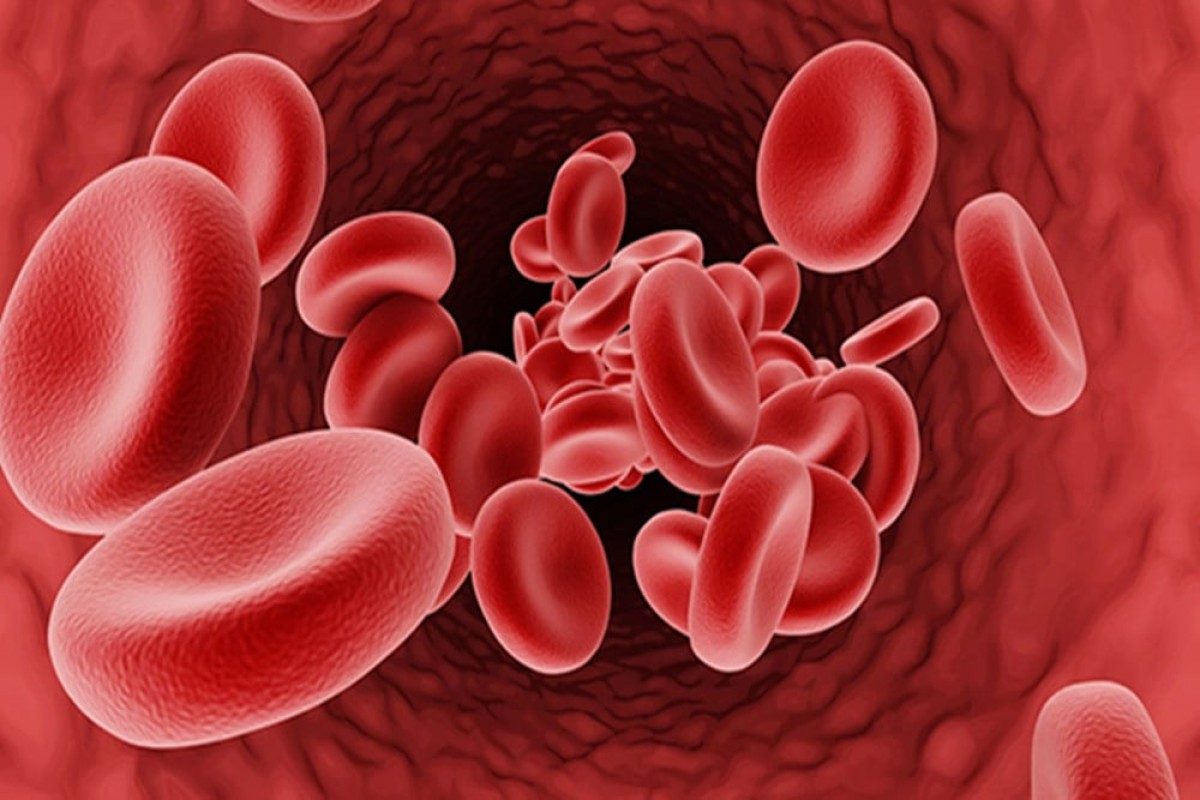 Bulan Kesadaran Kanker Darah 2025: Kenali Gejala Multiple Myeloma Sekarang
