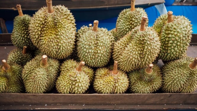 Keluarga Malaysia di Prancis Dikira Gas Bocor, Pemadam Kebakaran Datang Gara-gara Bau Durian