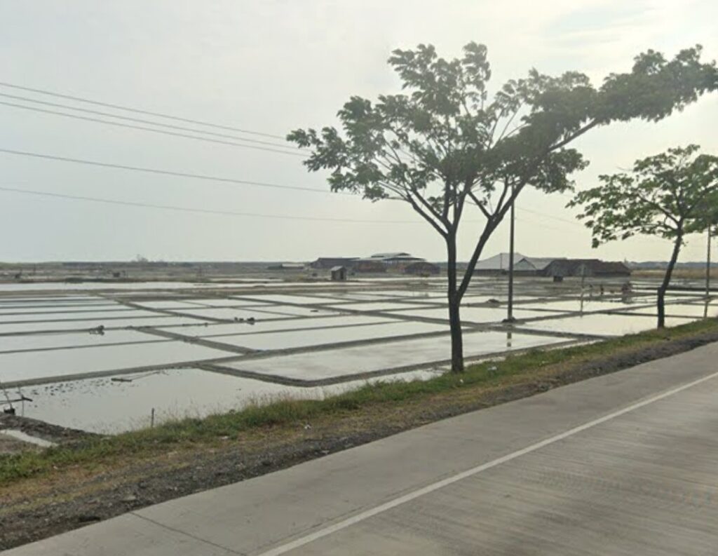 Curah Hujan Tinggi Picu Penurunan Produksi Garam di Pantura Jateng, Harga Melonjak 100%