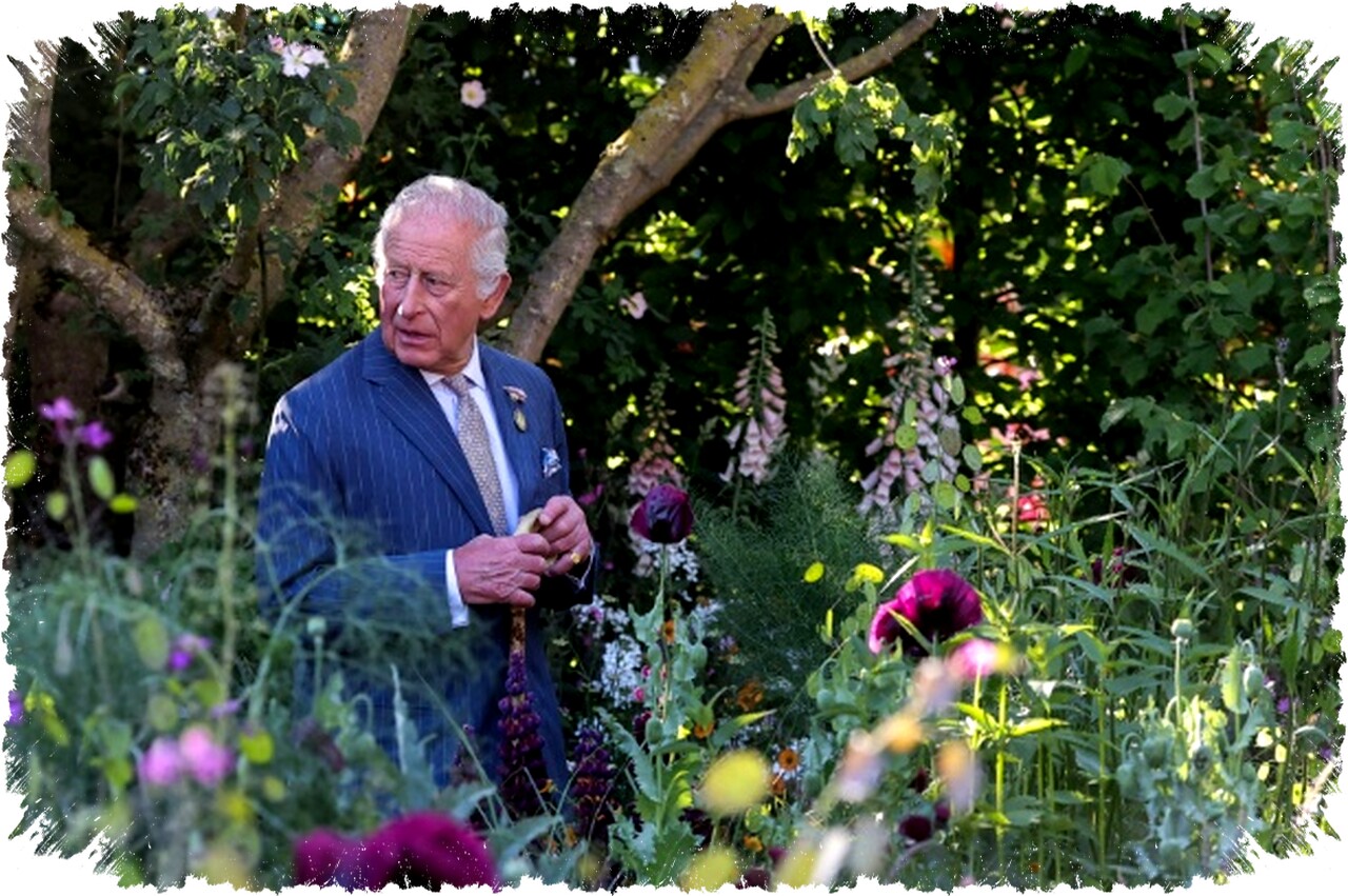 King Charles III Peringatkan Dunia Terus Mundur dalam Upaya Atasi Perubahan Iklim dan Kehilangan Keanekaragaman Hayati