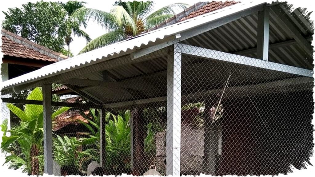 Cara Efektif Agar Kandang Ayam Tidak Dimasuki Ular, Lindungi Ternak dari Predator Sekarang!
