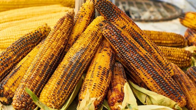 Panduan Memilih Jagung Berkualitas untuk Olahan Bakar Menyambut Malam Pergantian Tahun