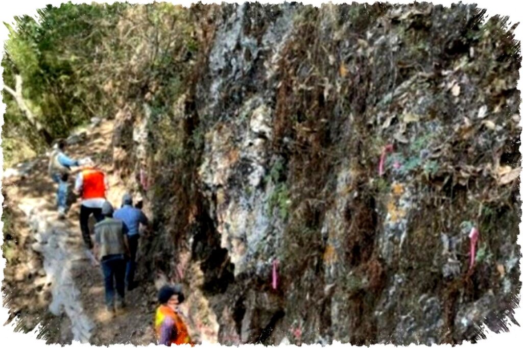 3 Karyawan Perusahaan Tambang Kanada Ditemukan Meninggal di Makam Massal di Meksiko Setelah Diculik