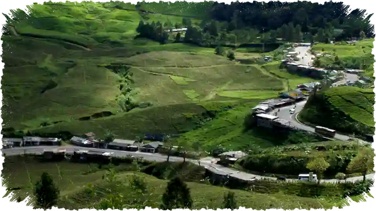 Rest Area Gunung Mas Puncak Bogor 2026: Panduan Istirahat Nyaman & Fasilitas Lengkap Jalur Wisata
