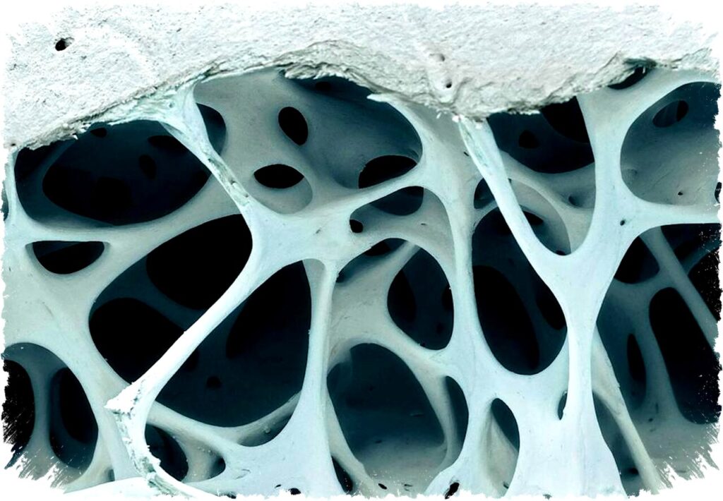 Desain Berpori Ala Alam: Inovasi 3D Printing untuk Material Ringan dan Kuat di Industri Modern