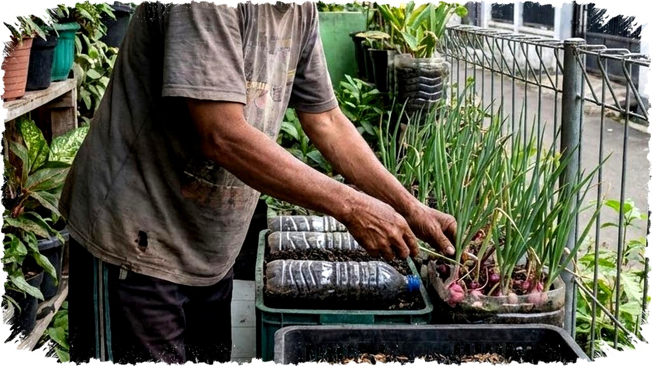 10 Tips Tanam Bawang Merah Pakai Cocopeat, Cara Hemat dan Mudah tanpa Tanah di Rumah