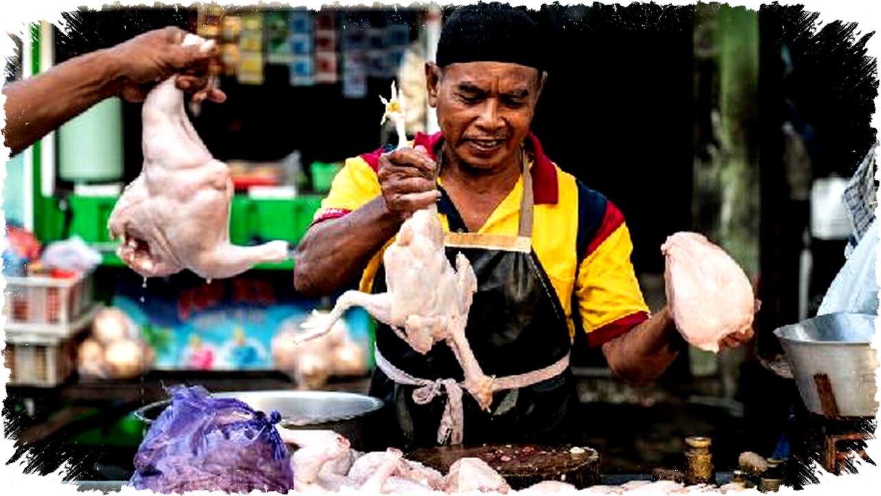 Harga Daging Ayam Ras Tinggi Dorong Inflasi Jawa Tengah Januari 2026 Mencapai 2,83%