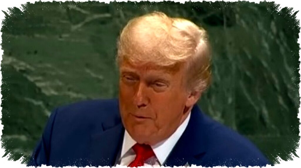 Trump Dorong Pembentukan Dewan Alternatif PBB, Tantang Dominasi Dunia Saat Ini