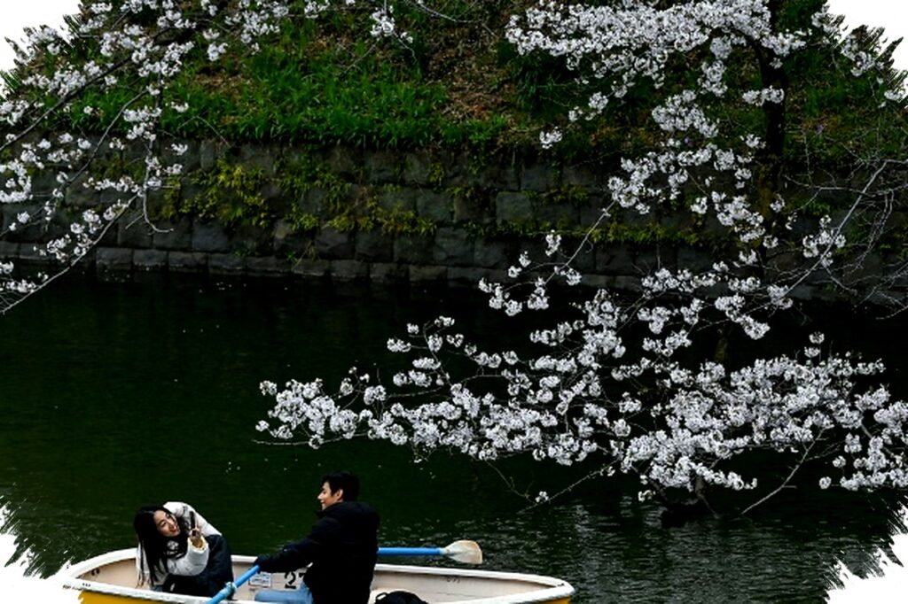 Perfect Japan Di Balik Lensa Gen Z, Ketika Citra Ideal Berhadapan Dengan Realita Sosial