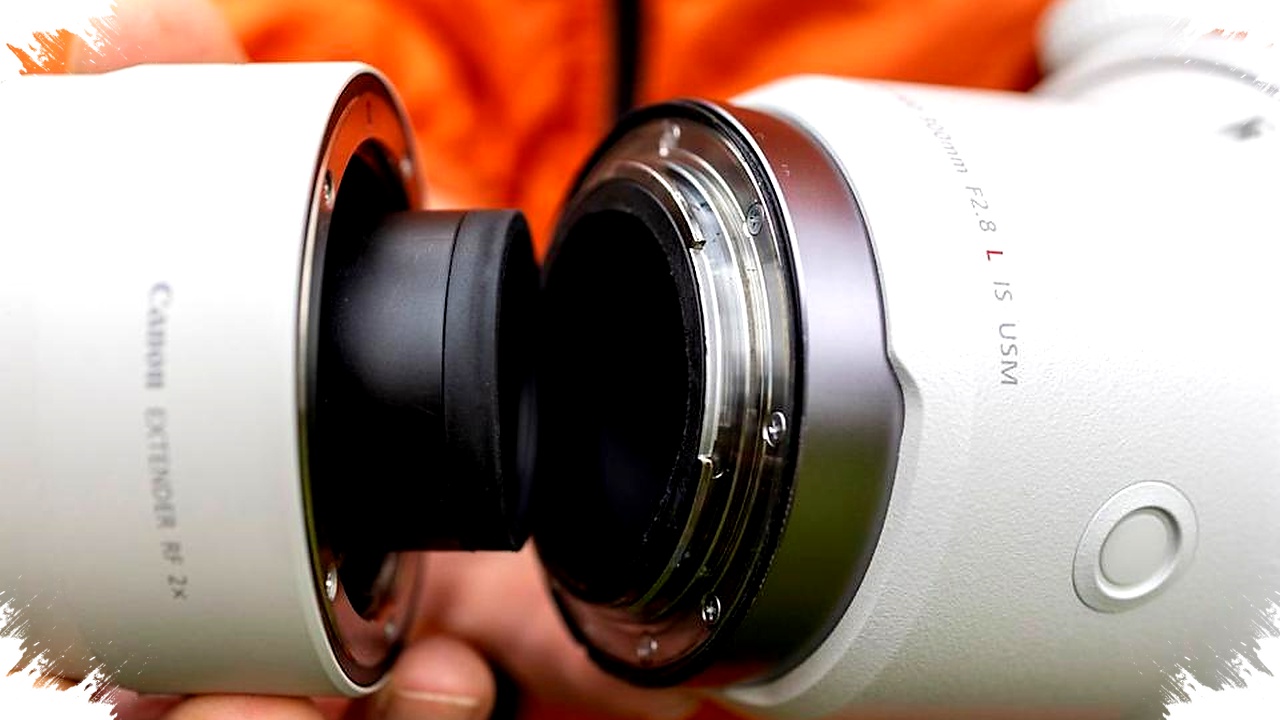 Mengapa Teleconverter Gagal Pada Lensa Murah, Rahasia Kualitas dan Desain yang Tak Bisa Diabaikan