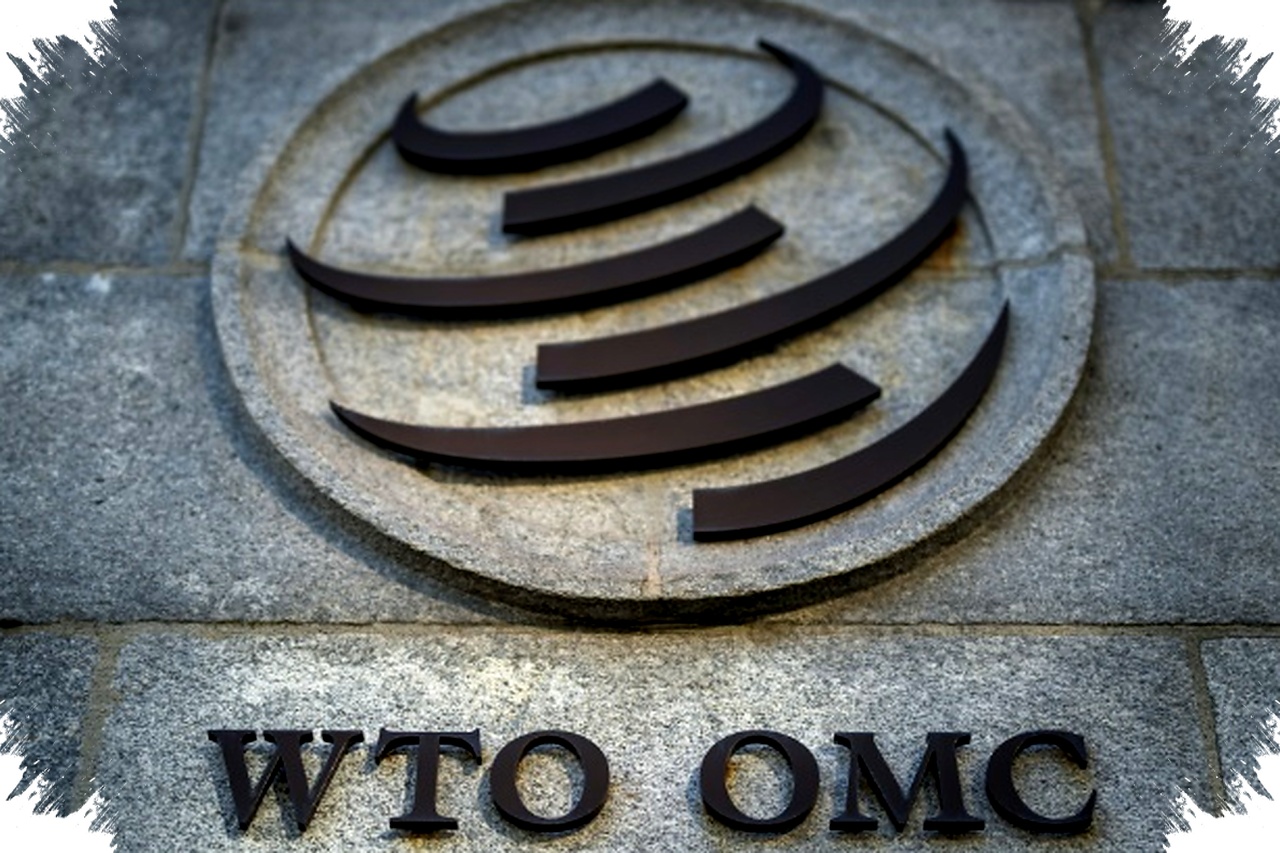 AS dan India Berseberangan Meski Mayoritas Dukung Reformasi WTO, Strategi Baru Jadi Titik Perselisihan Krusial