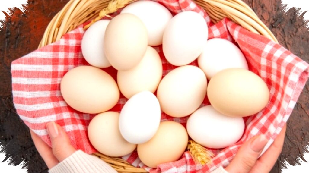 Menu Sahur Hemat dan Bergizi Dengan 4 Olahan Telur Satset Ramah Kantong, Solusi Cerdas Lawan Melonjaknya Harga Bahan Pokok Ramadan