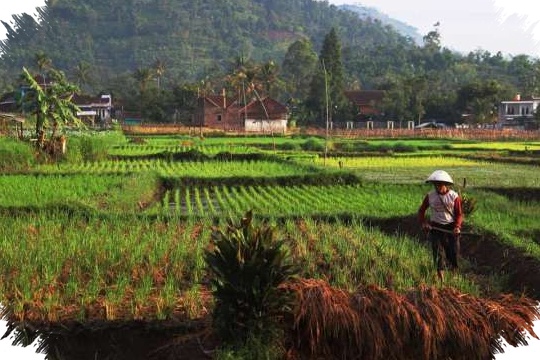 Cuaca Jabar 28 April 2026 Didominasi Hujan Ringan, Aktivitas Masih Tetap Lancar?