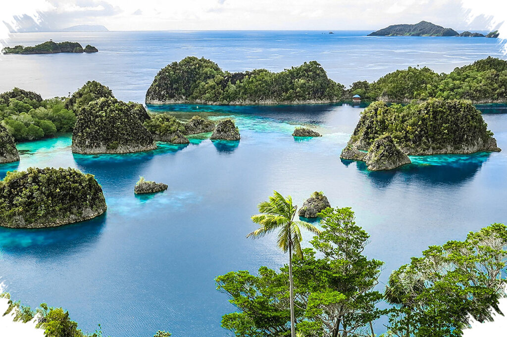 15 BUMN Turun Tangan di Raja Ampat, Konservasi Laut Dikejar Bersamaan Dengan Ekonomi Warga