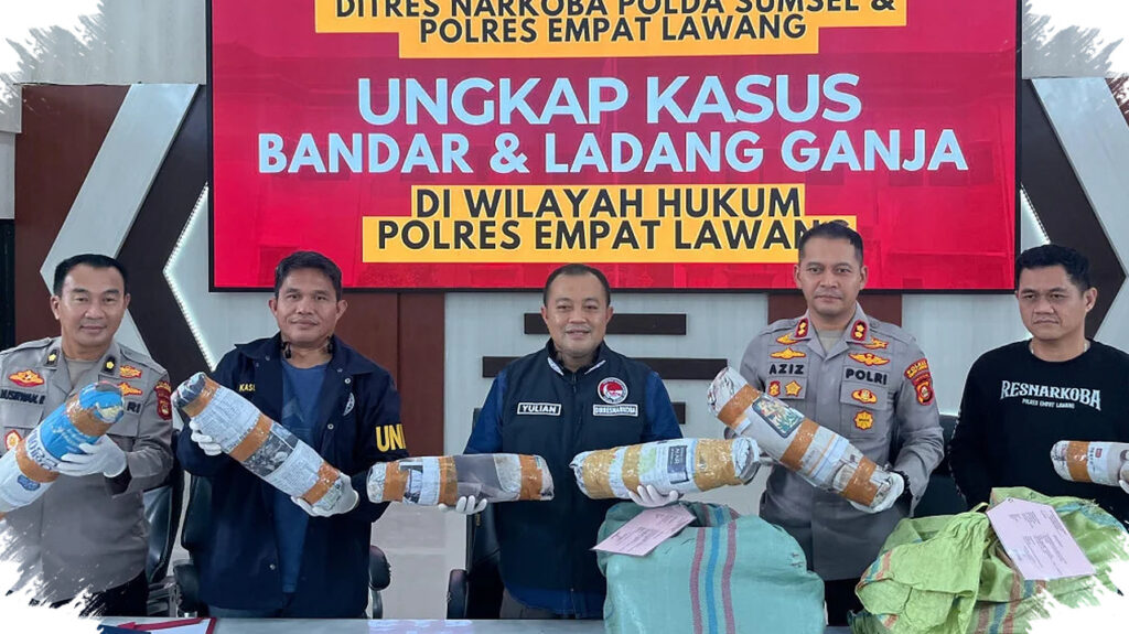 Polda Sumsel Bongkar Ladang Ganja 20 Hektar, Bandar Langsung Ditangkap Saat Distribusi