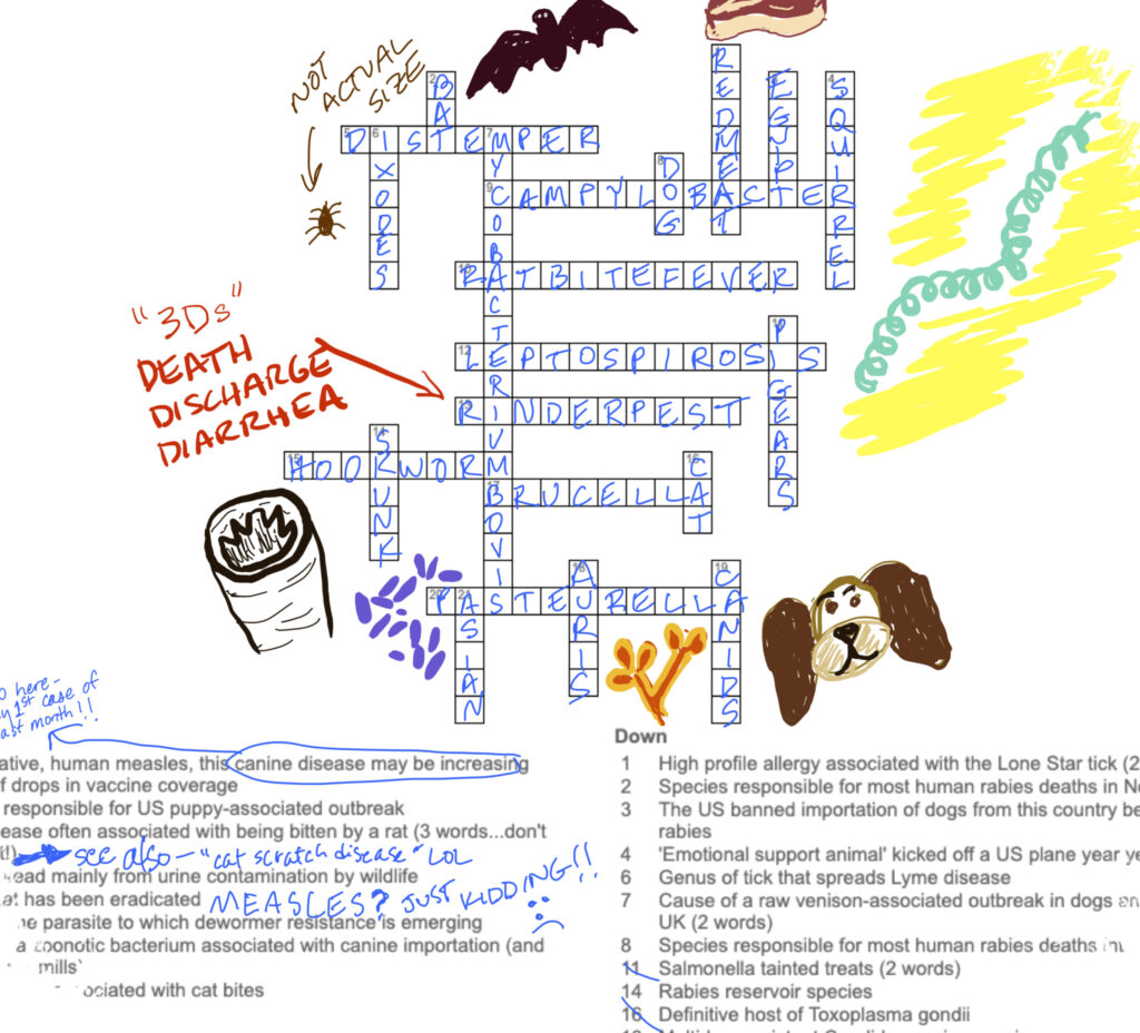 NYT Connections 25 April 2026 Game #1049, Jejak Clue Menjebak dan Jawaban yang Paling Menentukan