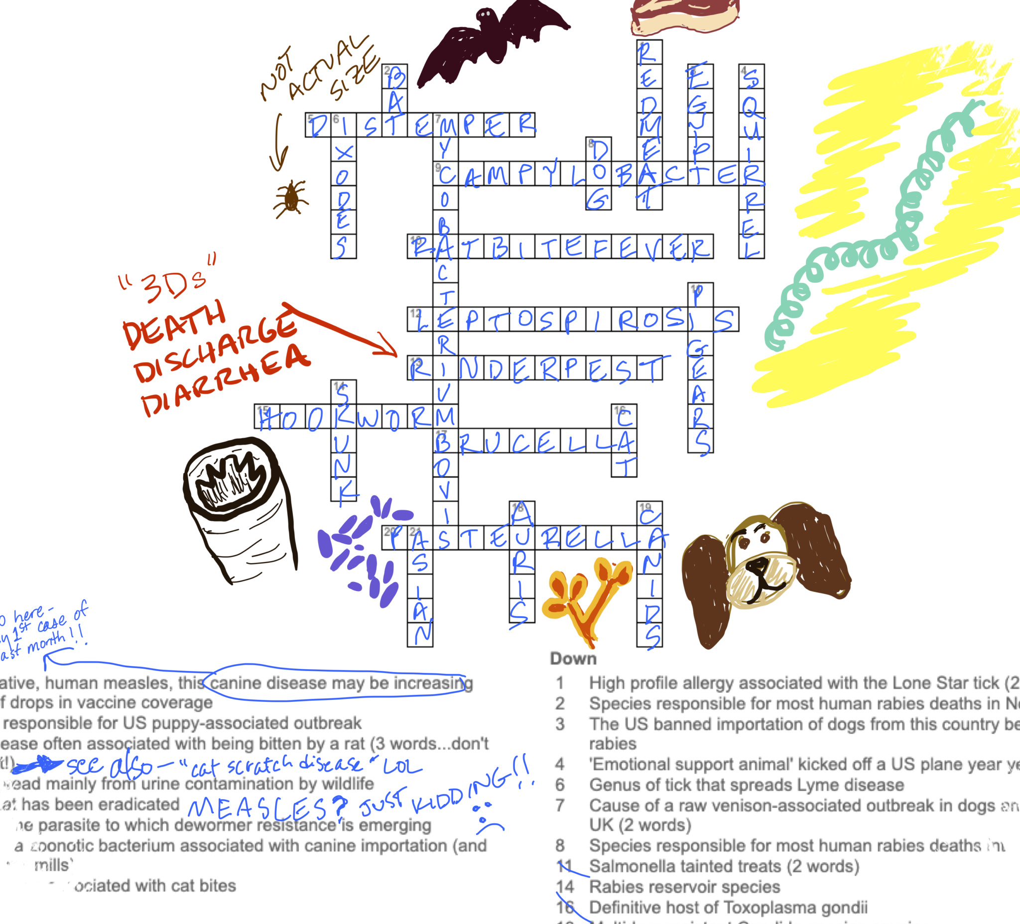 NYT Connections 25 April 2026 Game #1049, Jejak Clue Menjebak dan Jawaban yang Paling Menentukan