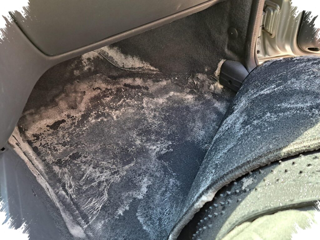 Kebiasaan Sepele Ini Paling Merusak Karpet Mobil, Bau dan Jamur Mengintai Di Kabin