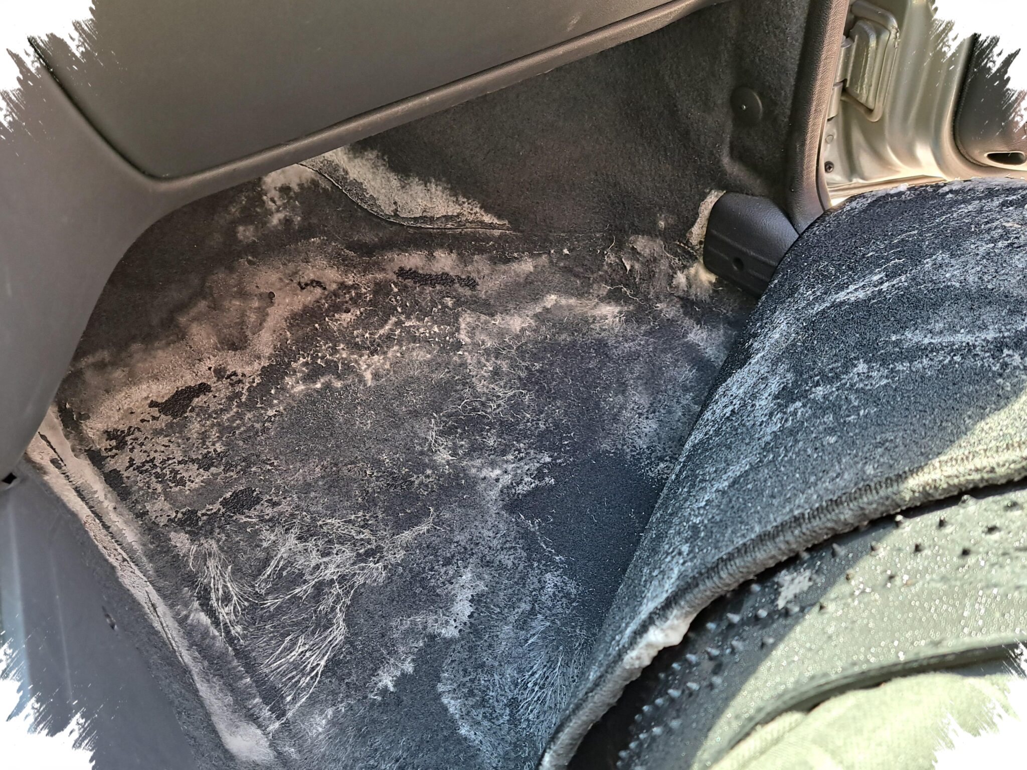 Kebiasaan Sepele Ini Paling Merusak Karpet Mobil, Bau dan Jamur Mengintai Di Kabin