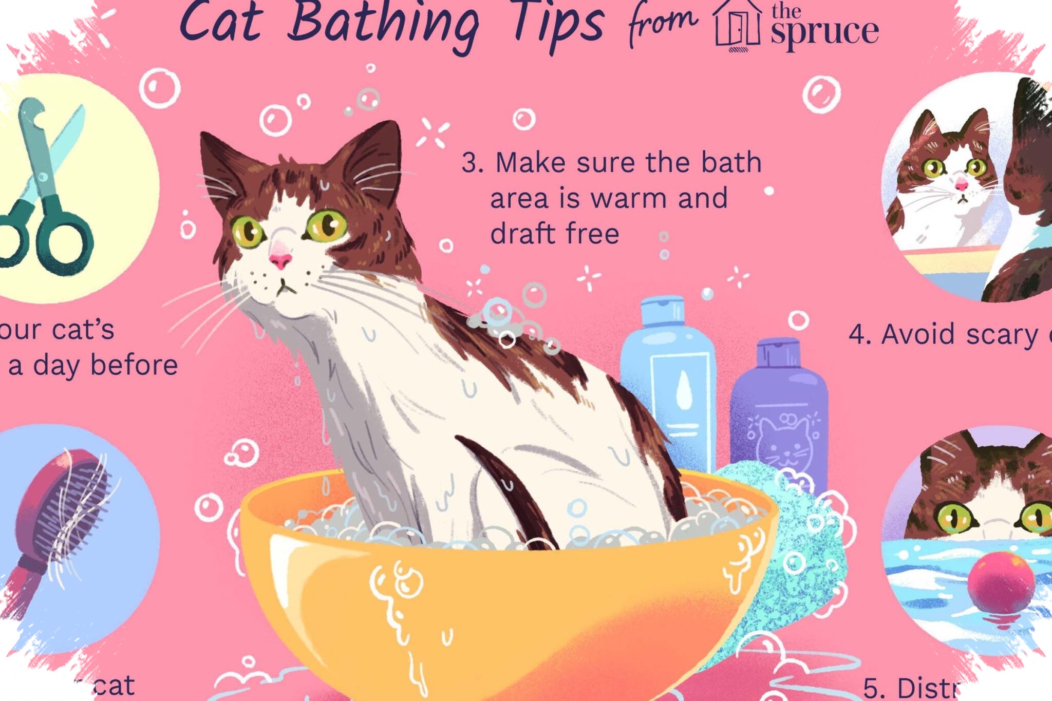 7 Cara Memandikan Kucing Biar Tak Berontak, Langkah Sederhana Yang Menyelamatkan Anda Dari Cakaran