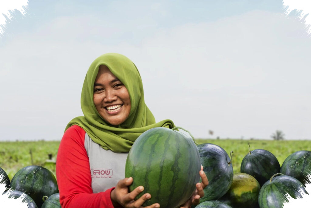 Benih Unggul Jadi Benteng Pasokan Hortikultura, Ewindo Kejar Produktivitas Petani Di Tengah Biaya Melonjak