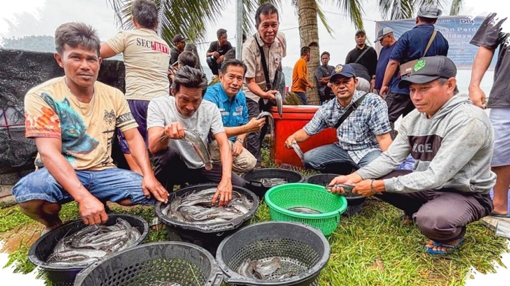 Panen Perdana Lele Desa Pelapis, Sinergi Warga Dan PT DIB Harita Menggairahkan Ekonomi Pesisir