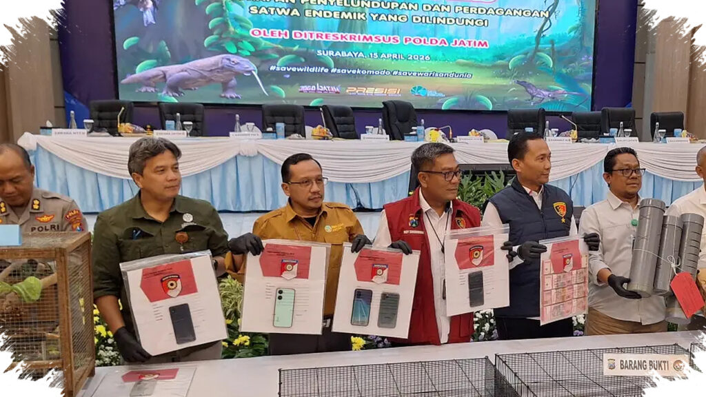 Polda Jatim Bongkar Jalur Komodo ke Surabaya, Omzet Sindikat Tembus Rp 565 Juta