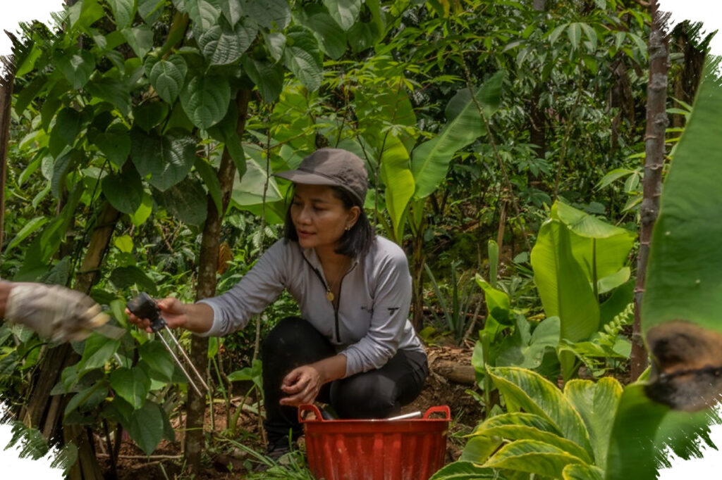 Dari Lahan Terdegradasi ke AI, Inovasi Pertanian Indonesia Menarik Perhatian PepsiCo Dan National Geographic