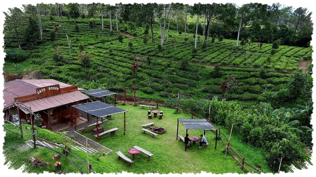 Kampung Koboi Tugu Selatan, Desa Yang Naik Kelas Lewat Kuda, Susu, Dan Wisata Lokal