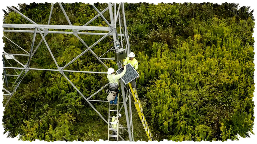 Ameren Uji Teknologi Rating Jalur Dinamis, Cara Baru Meringankan Jaringan yang Paling Sesak