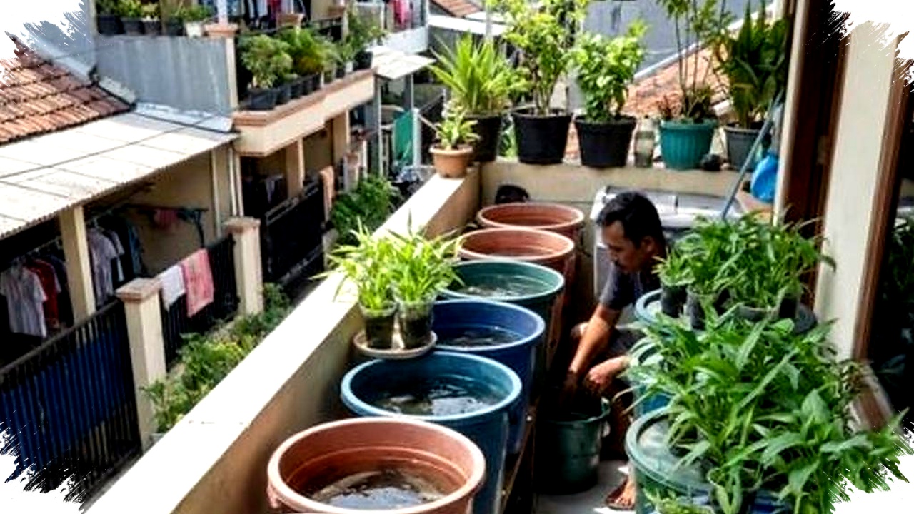 Ternak Lele di Lahan Sempit Tak Lagi Boros Air, Panen 40–50 Hari Justru Jadi Celah Cuan
