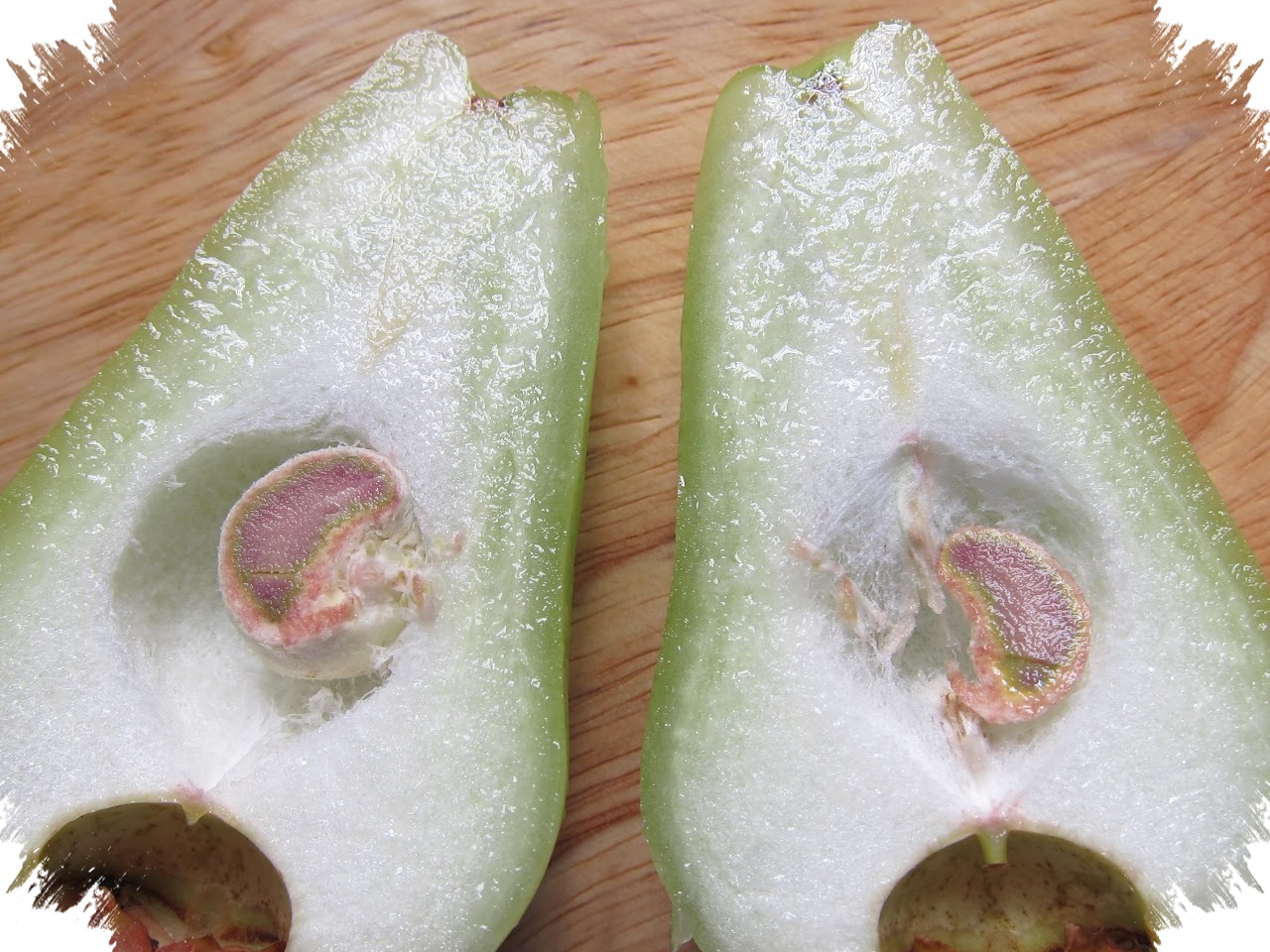 Jambu Air Rajin Berbunga Tapi Buah Busuk dan Rontok, Kesalahan Kecil Ini Sering Jadi Biang Kerok