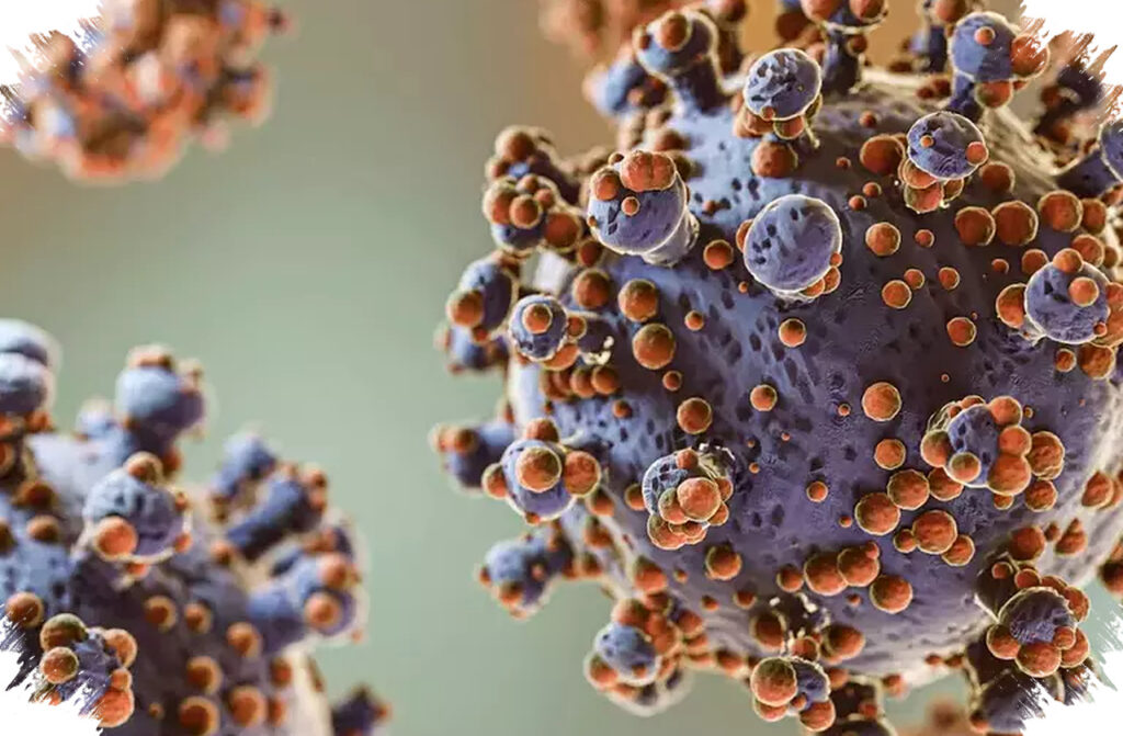 Heboh Hantavirus di Kapal Pesiar, Jejak Panjang Virus Ini dan Cara Penularannya yang Mematikan