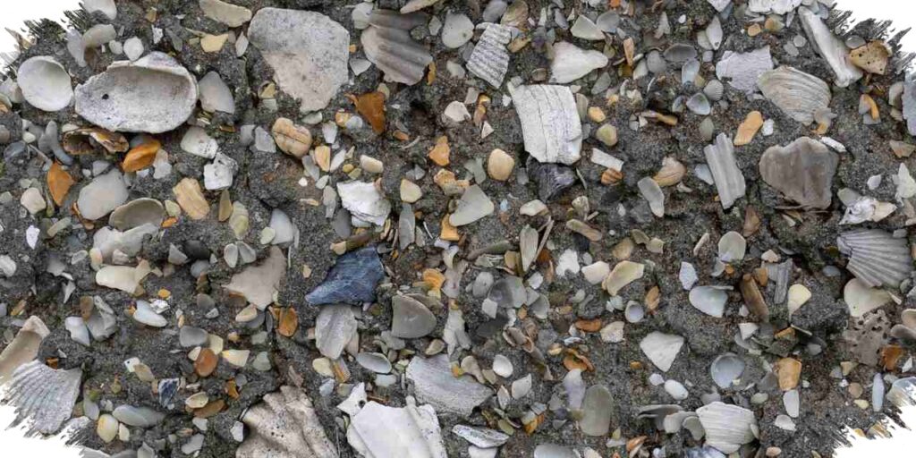 Cement Dari Tiram, Mengunci Beton Lebih Kuat dan Lebih Cepat Mengeras
