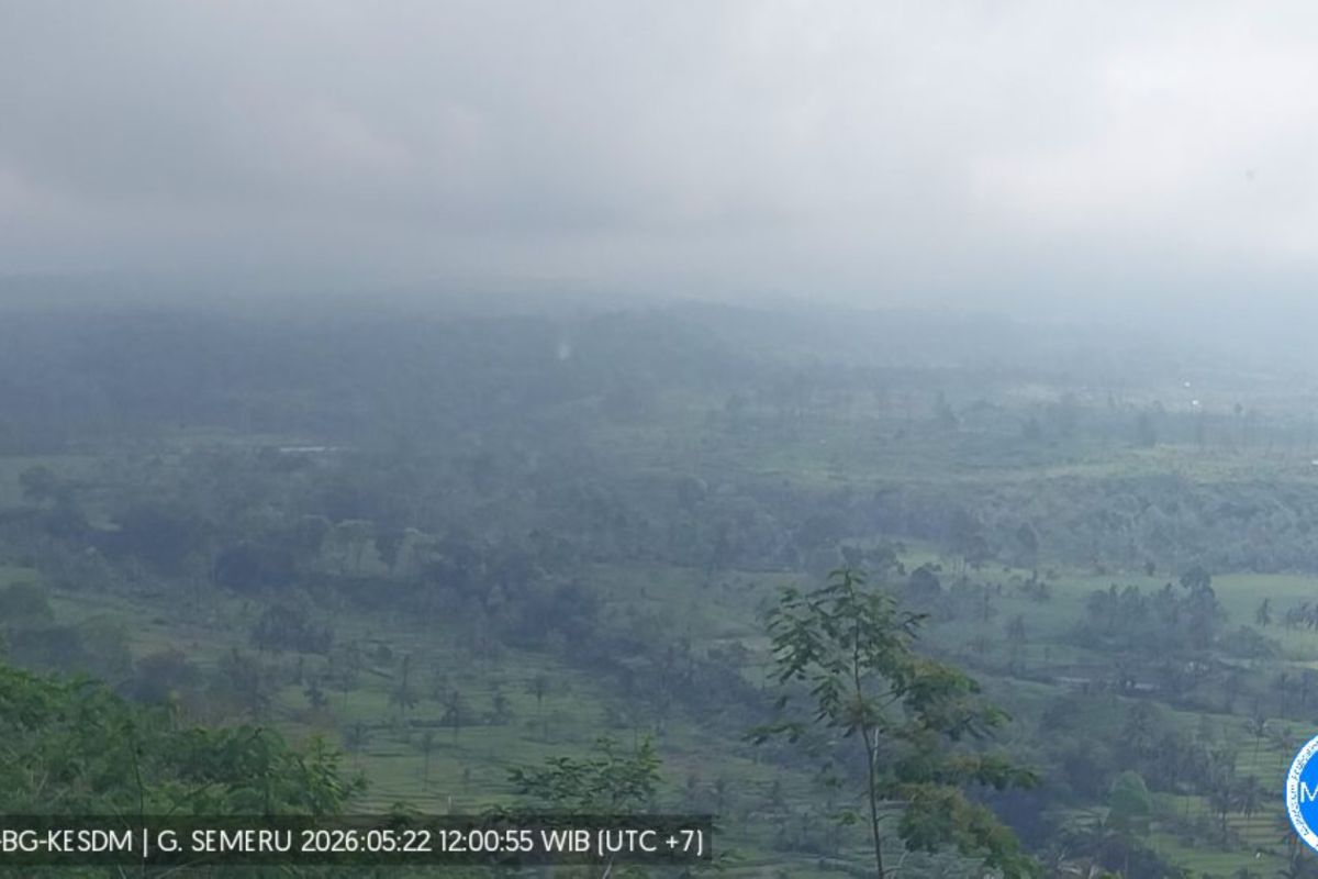 Semeru Erupsi Disertai Awan Panas, Kabut Menutup Kolom Abu di Saat Siaga III