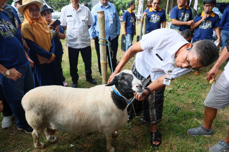 Pemprov Jateng Pastikan Hewan Kurban Sehat, Pengawasan Ternak Diperketat Jelang Idul Adha