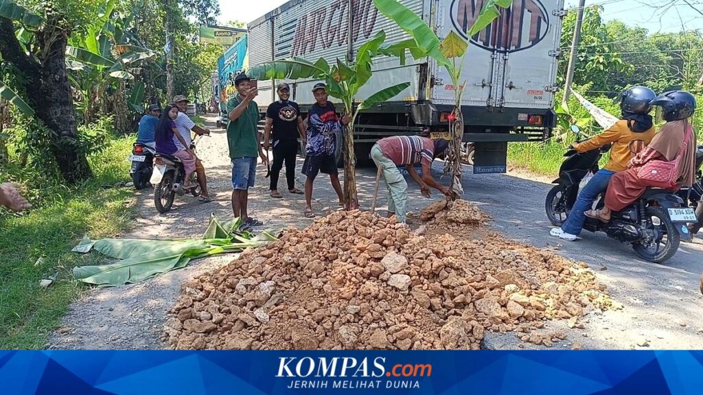 Warga Tanam Pisang di Jalan Rusak Blora, Pemprov Jateng Siapkan Rp 5,2 Miliar