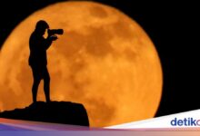 Strawberry Moon 30 Juni 2026 Muncul Pagi Hari, Ini Waktu Terbaik Melihatnya di Indonesia