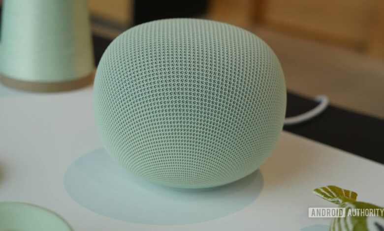 Google Home Akhirnya Bisa Putar SiriusXM Lagi, Bug Berminggu-Minggu Resmi Beres
