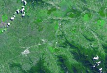 Kuk Swamp Mengubah Sejarah Pertanian, Jejak 10.000 Tahun yang Mematahkan Teori Lama