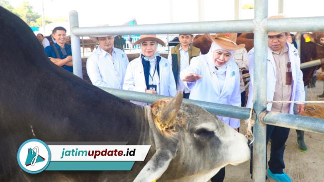 Khofifah Apresiasi BBIB Singosari, Semen Beku Wagyu dan Belgian Blue Jadi Kunci Swasembada Daging