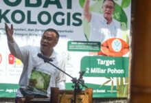 SRUK Diluncurkan 9 Juli, Gerbang Baru Ribuan Triliun Perdagangan Karbon