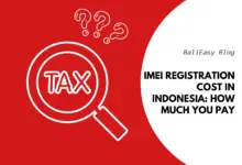 iPhone Bea Cukai Bukan Sekadar Impor, Ini Biaya, IMEI, Dan Risikonya